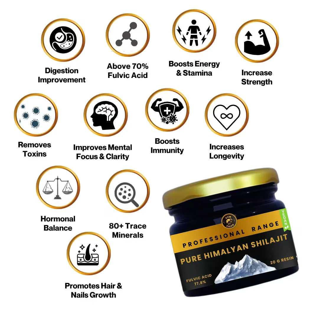Himalayan Shilajit Benefits