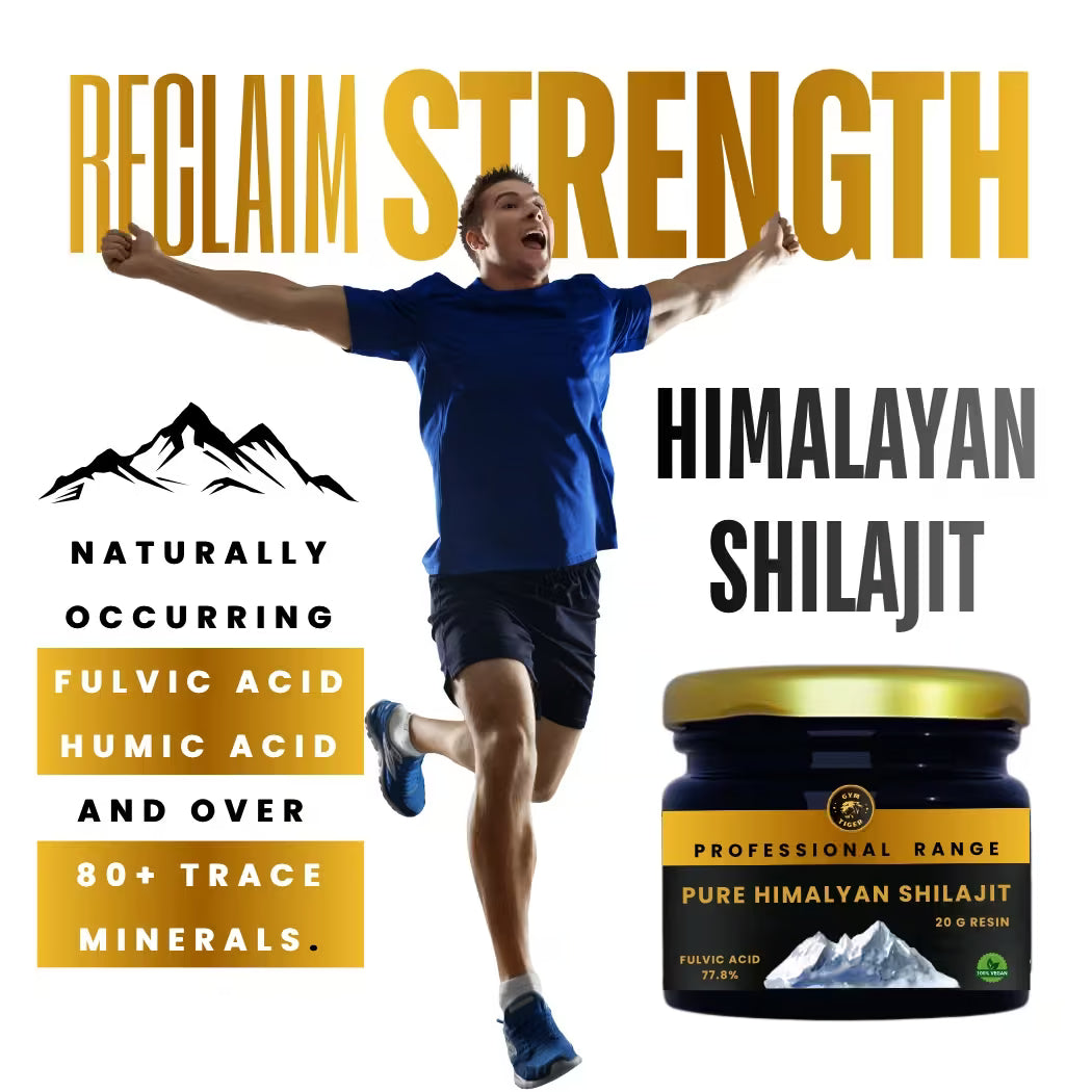 Himalayan mountain range — origin of Gym Tiger Shilajit resin